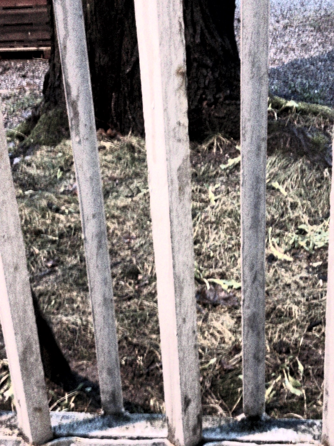 Dark iron fence in lamplight high exposure time