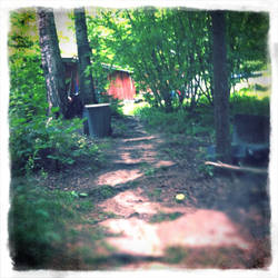 Path beind the cabin