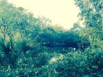 Beautiful water