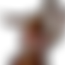 Eevee.EXE (2019)