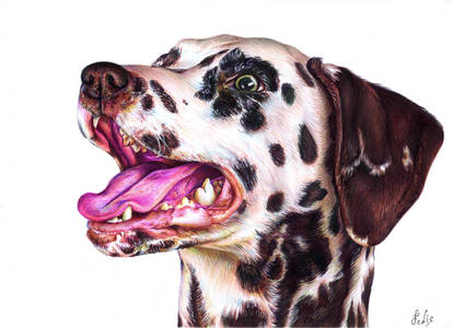 Dalmatian - Ballpoint Pen