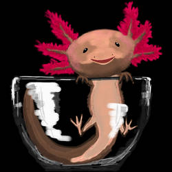 Axolotl in a Cup