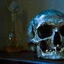Rembrant's skull