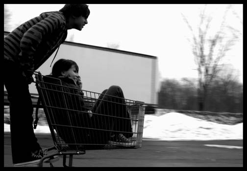 Shopping Cart Race
