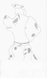 dalmation 3