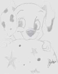 dalmation 4