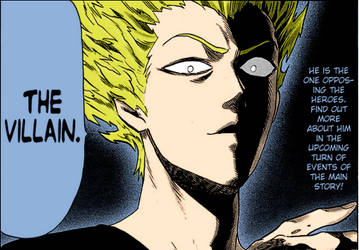 One Punch Man Garou