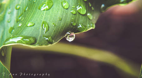 Droplet2