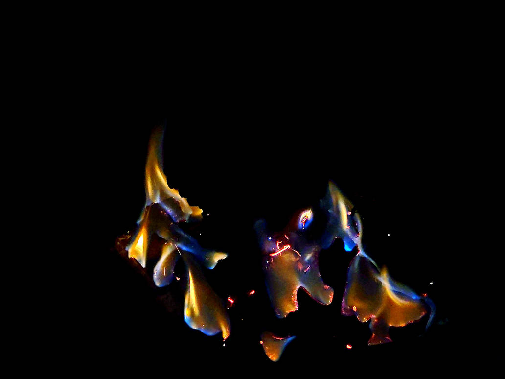Fire Light by AnchorN on DeviantArt