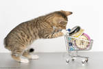 Kitty-mart 01 by hoschie