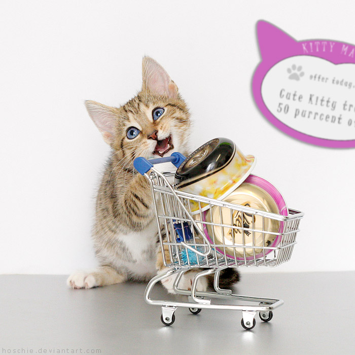 Kitty-mart 03
