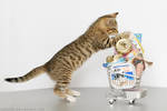 Kitty-mart 04 by hoschie