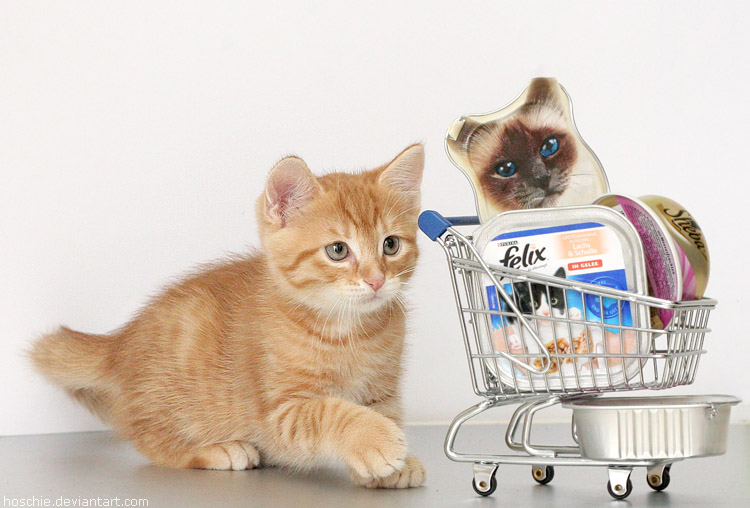 Kitty-mart 06