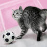 Soccer kitty
