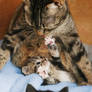 Family idyll..