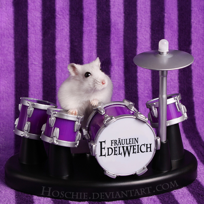 Frl. Edelweich is a Drumster