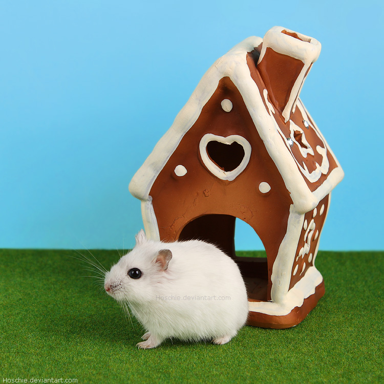 Frl. Edelweich and her gingerbread house