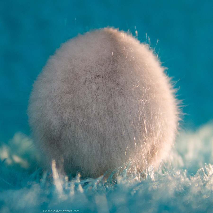 Fluffball