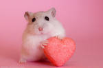 Be My Hammentine by hoschie