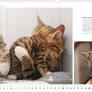 Hoschie in Whiskas calendar 2014