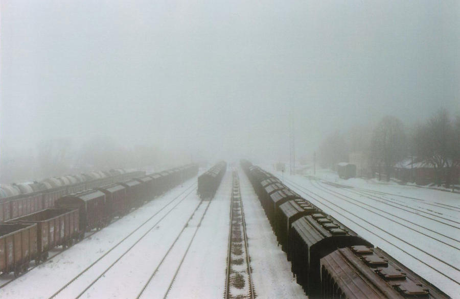 Snowy Fog In Junction