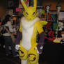 Well Done Renamon Suit