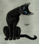 black cat by SovaKa