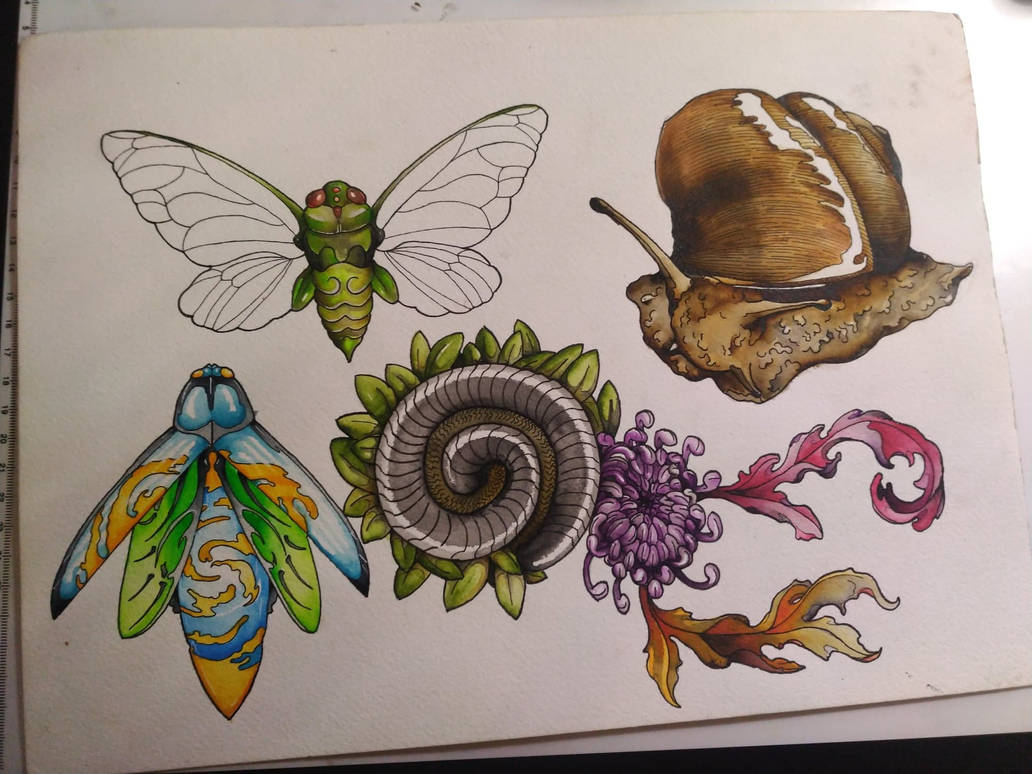 3. Bug Themed Temporary Tattoos - wide 1