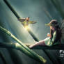 Firefly and the Fairy