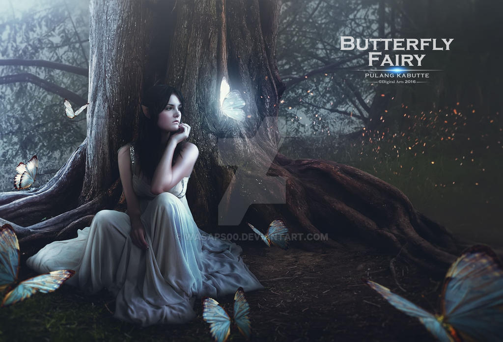 Butterfly Fairy