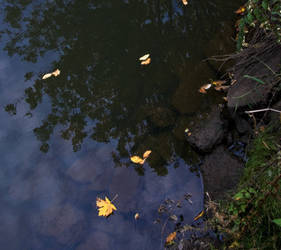 water under the bridge