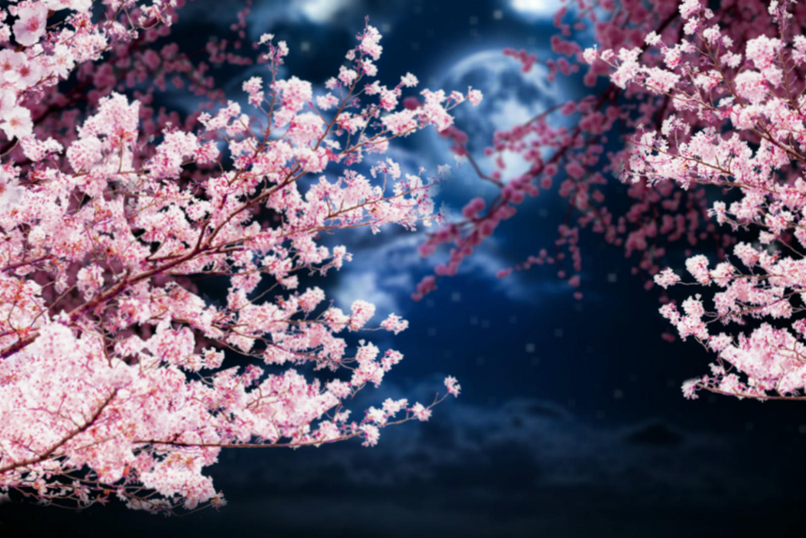 La flor de cerezo de la luna by nayareth on DeviantArt