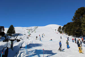 Personas y invierno 3