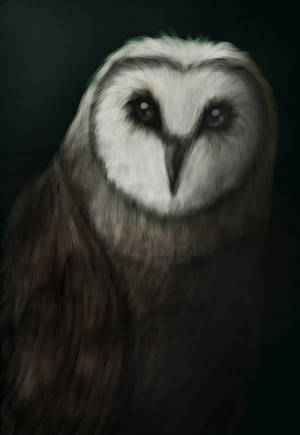 Hush by ark4n Hush by ark4n