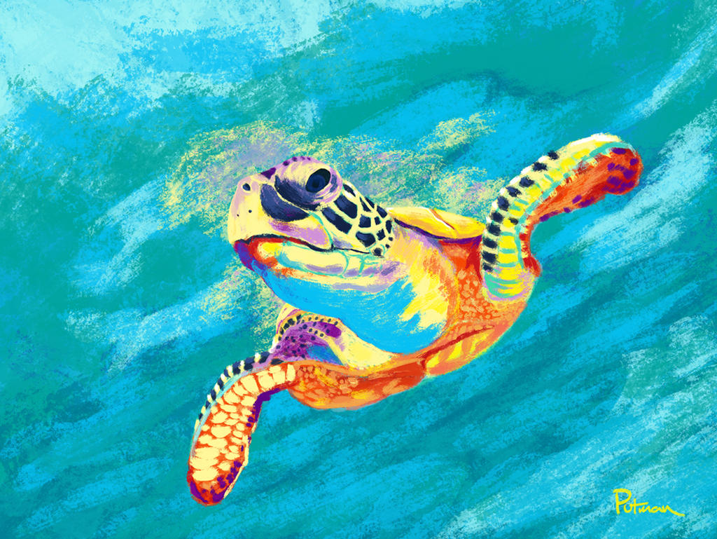 Turtle-colors by 7thhat on DeviantArt