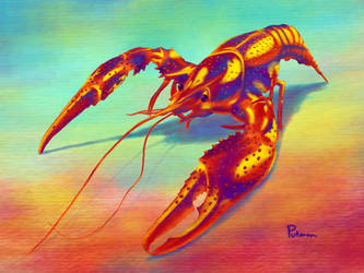 Crawfish-colors