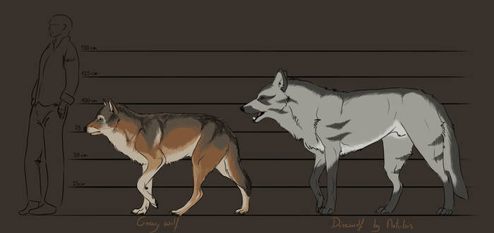 Deviantart Dimensions Explore the Best Size Art | DeviantArt