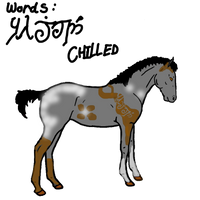 Elven Warhorse foal design. Frosty x Hippie