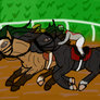 Day 67 - Fox Harbor Futurity