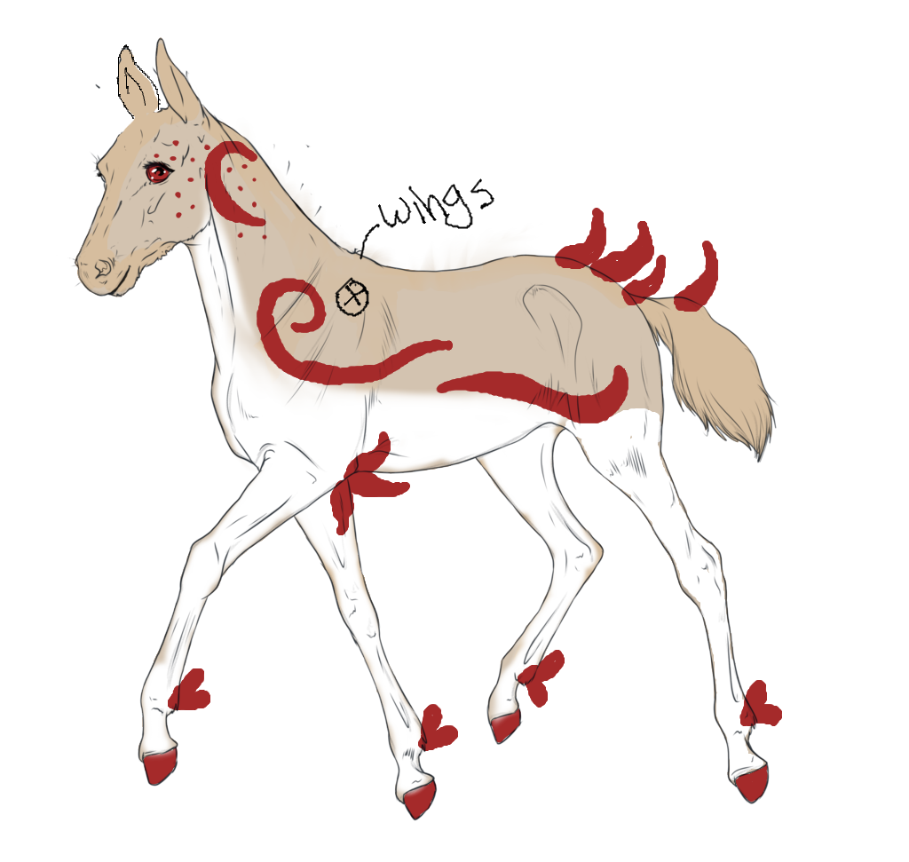 N609 RHANE FLYER Padro Foal Design