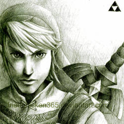 Link Revisited