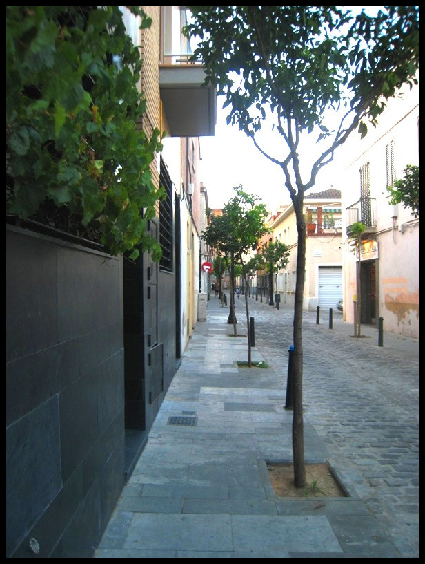 Mi Calle