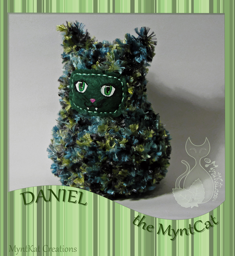 Daniel the MyntCat