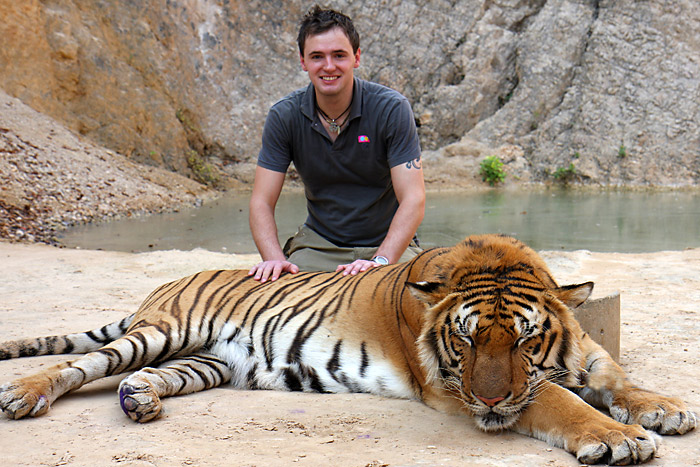 Tiger temple