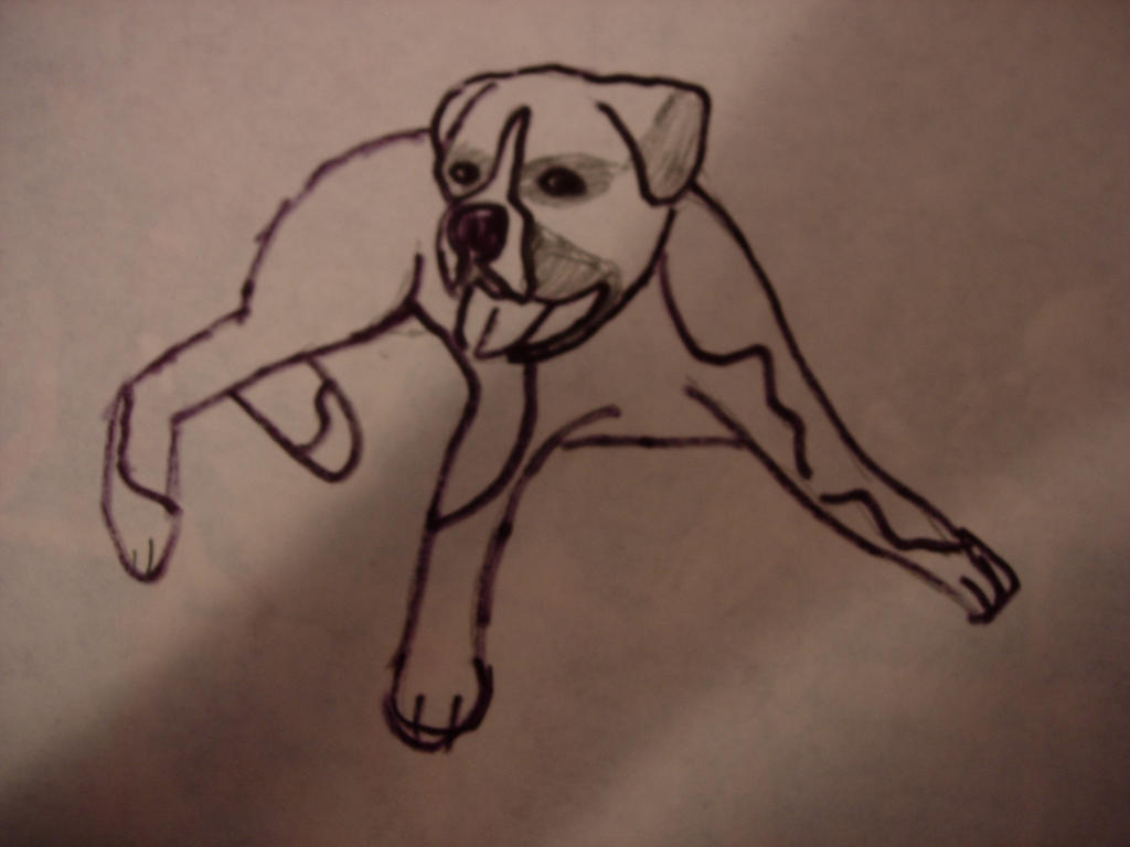 Deviantart Boxer Dog boxer by ImAnimalLover on DeviantArt