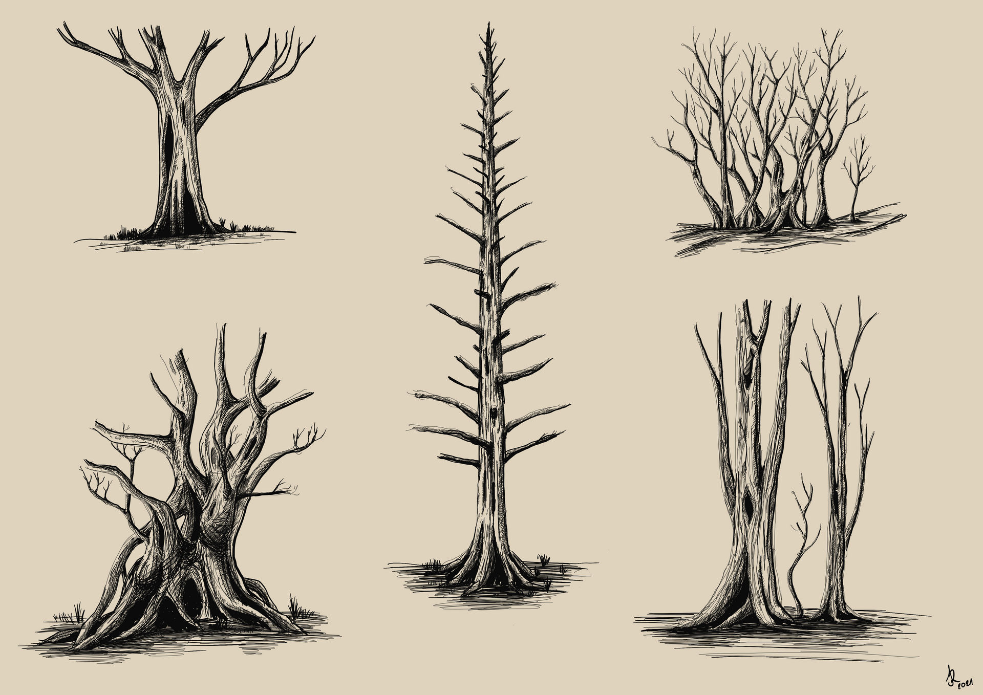 Tree Science Drawing Trees | Study by jakub-radl on DeviantArt