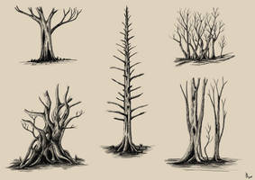 Trees | Study