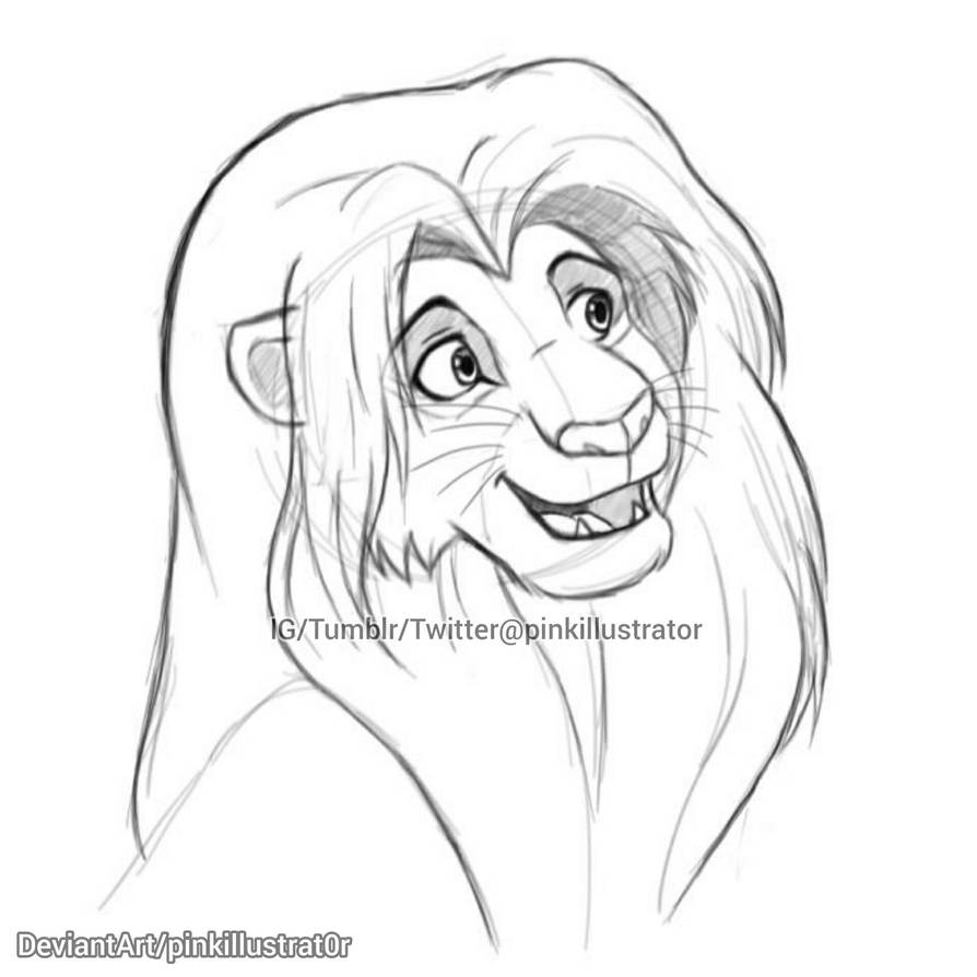 Simba Sketch by ShonenTaco on DeviantArt