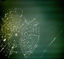 I Got Lost In Your Web