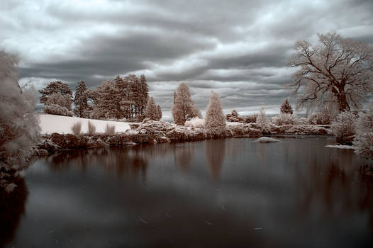 Pond Infrared